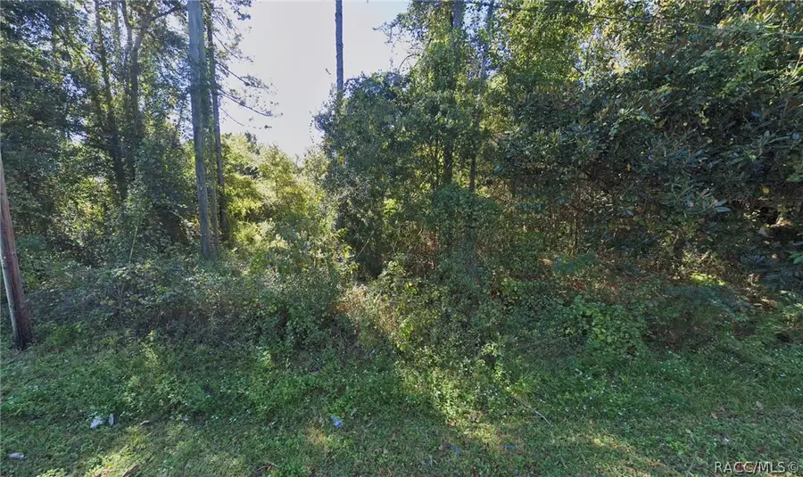 00 N 133rd Way, Raiford, FL 32083 - #2