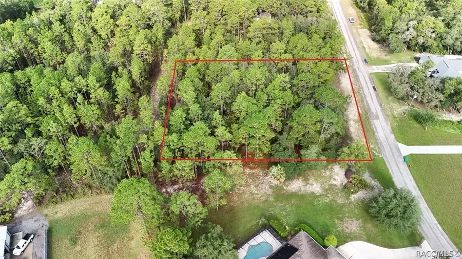 5828 W Rodeo Lane, Beverly Hills, FL 34465 - #3