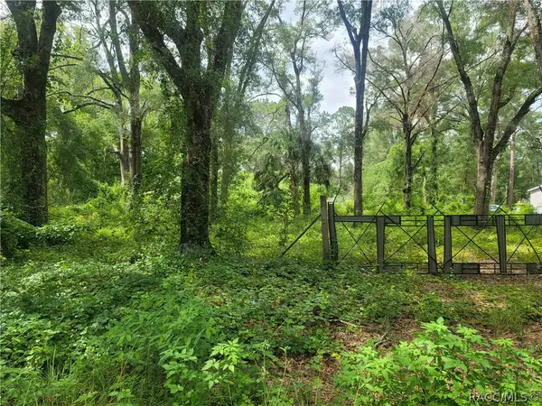 10837 SW 153rd Lane, Dunnellon, FL 34432