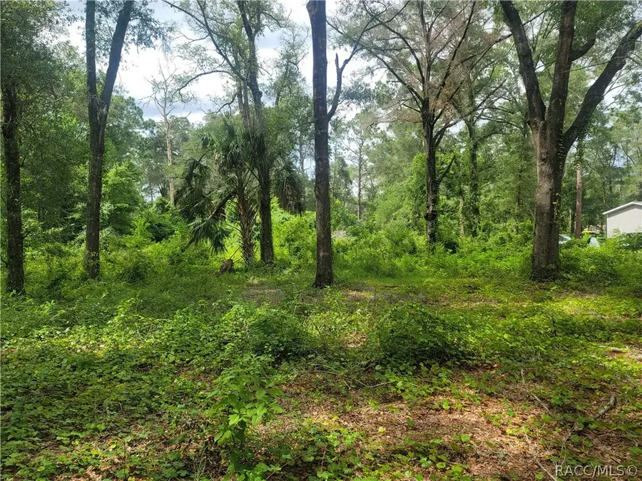 10837 SW 153rd Lane, Dunnellon, FL 34432 - #2