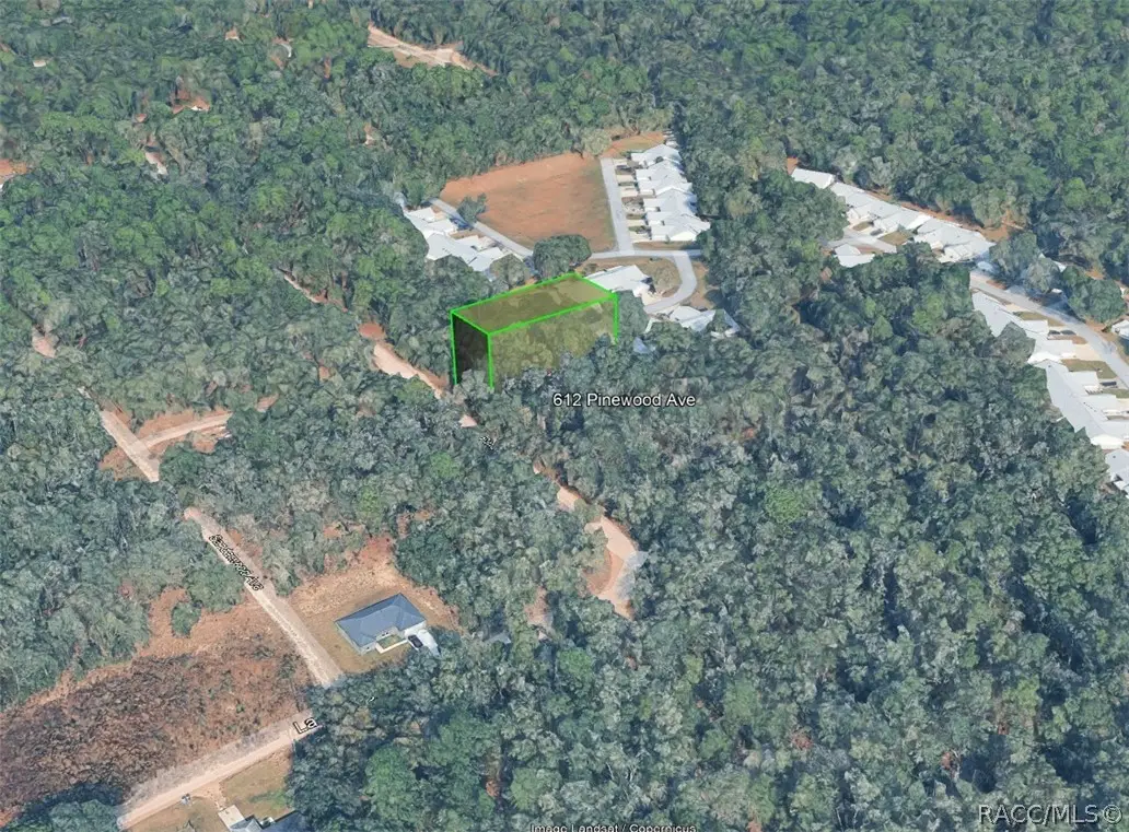 612 Pinewood Avenue, Inverness, FL 34453 - #1