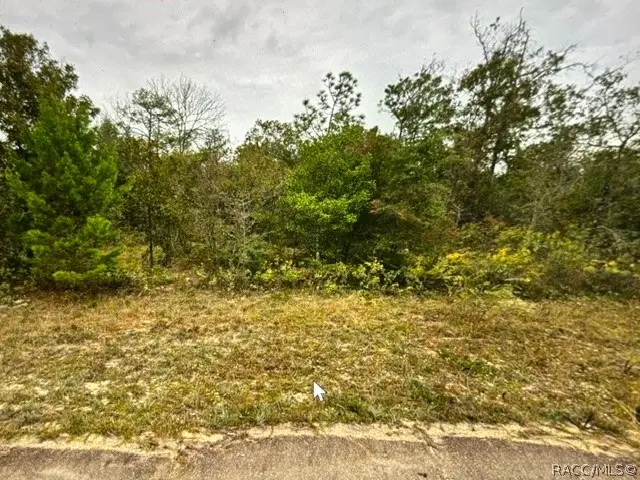 0 Oslo Place, Chipley, FL 32428 - #2