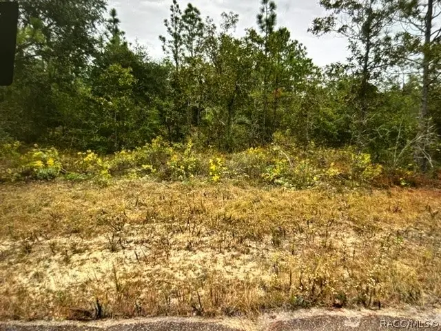 0 Oslo Place, Chipley, FL 32428 - #3