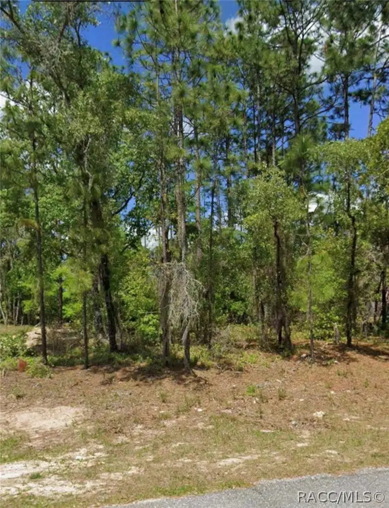 1541 W Elder Lane, Citrus Springs, FL 34434 - #3