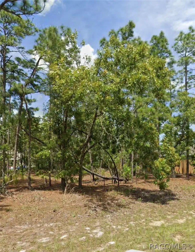 599 W Fortune Lane, Citrus Springs, FL 34434 - #1