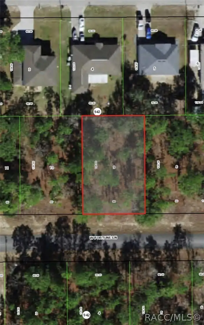 599 W Fortune Lane, Citrus Springs, FL 34434 - #3