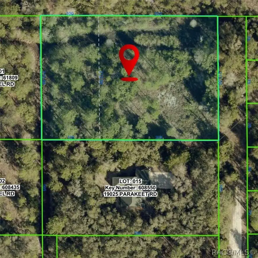 19037 Parakeet Road, Brooksville, FL 34614 - #2