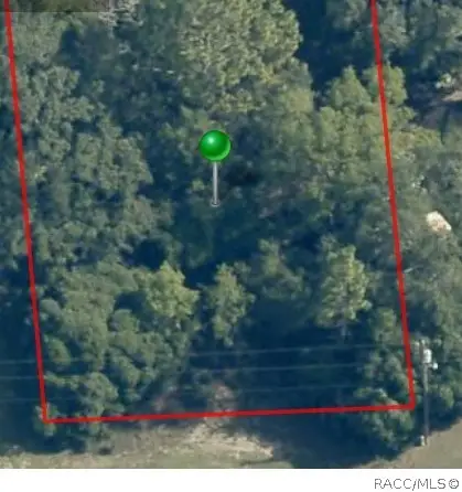 2059 W Paragon Lane, Dunnellon, FL 34434