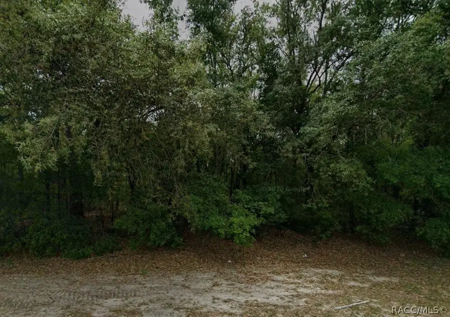 588 W Anderson Lane, Dunnellon, FL 34434 - #2
