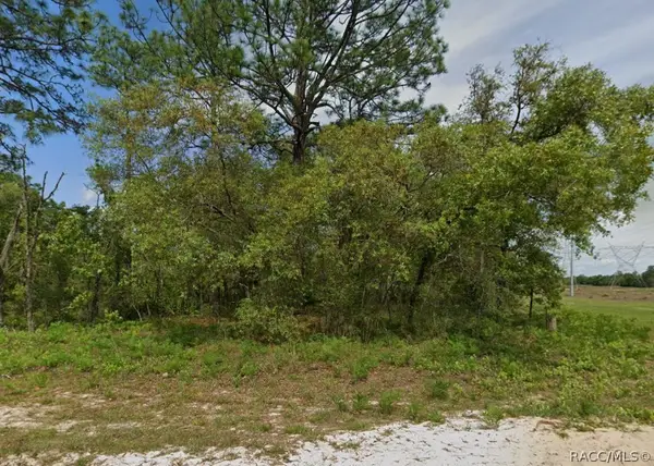 6895 N Varsity Avenue, Dunnellon, FL 34434