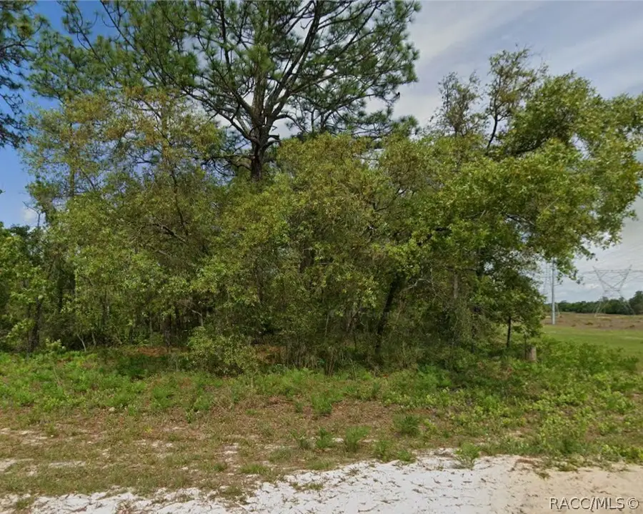 6895 N Varsity Avenue, Dunnellon, FL 34434 - #2