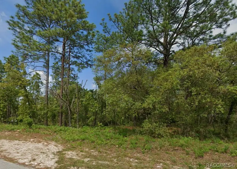 6895 N Varsity Avenue, Dunnellon, FL 34434 - #3