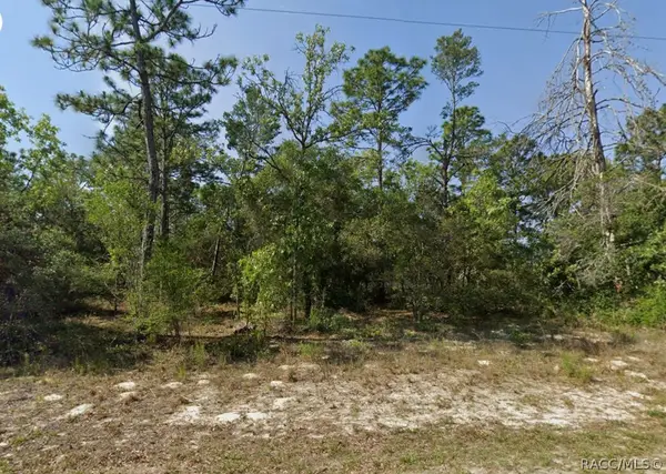 4230 W Fountain Lane, Dunnellon, FL 34433