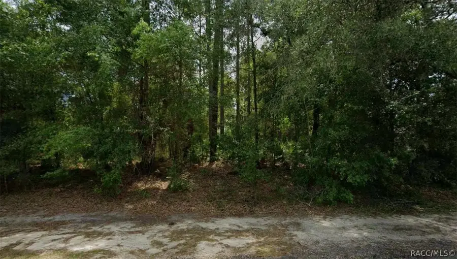 660 W Anderson Lane, Dunnellon, FL 34434 - #2