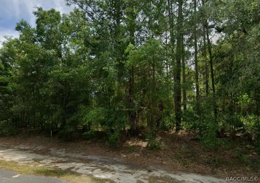 660 W Anderson Lane, Dunnellon, FL 34434 - #3