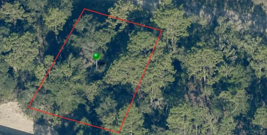 5923 N Matheson Drive, Dunnellon, FL 34433 - #3
