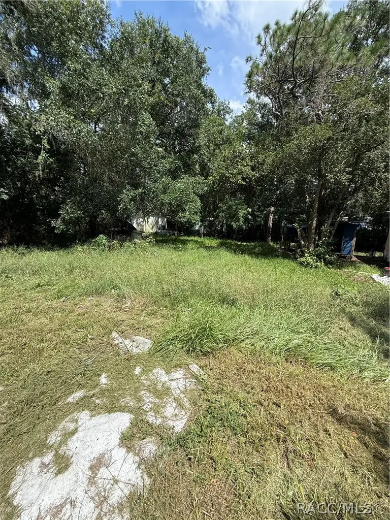 26339 Brahma Drive, Wesley Chapel, FL 33544 - #3