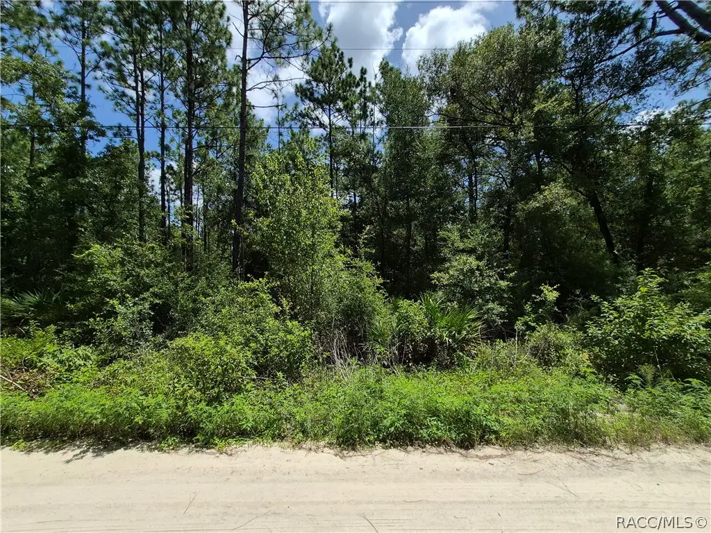 4831 N Sandpebble Point, Crystal River, FL 34428 - #1