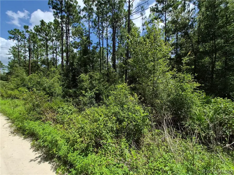 4831 N Sandpebble Point, Crystal River, FL 34428 - #2