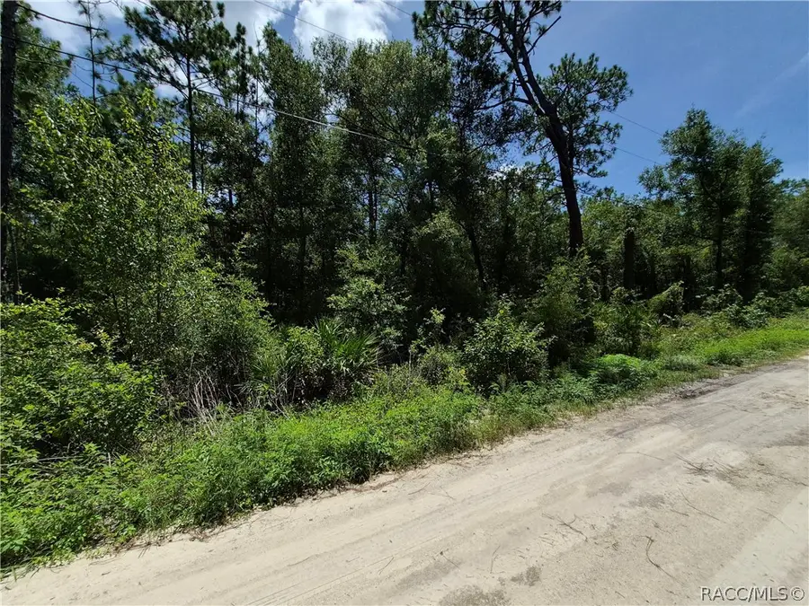 4831 N Sandpebble Point, Crystal River, FL 34428 - #3