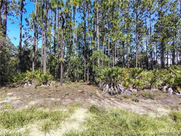 1930 W Wavecrest Drive, Dunnellon, FL 34434