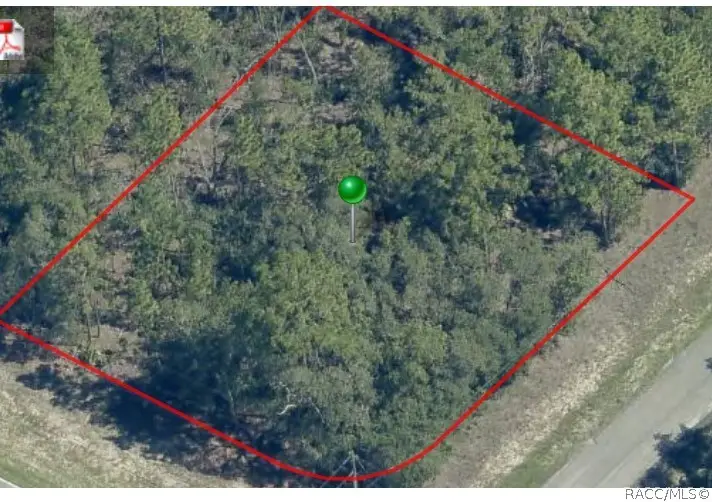 873 W Hampshire Boulevard, Dunnellon, FL 34434 - #3
