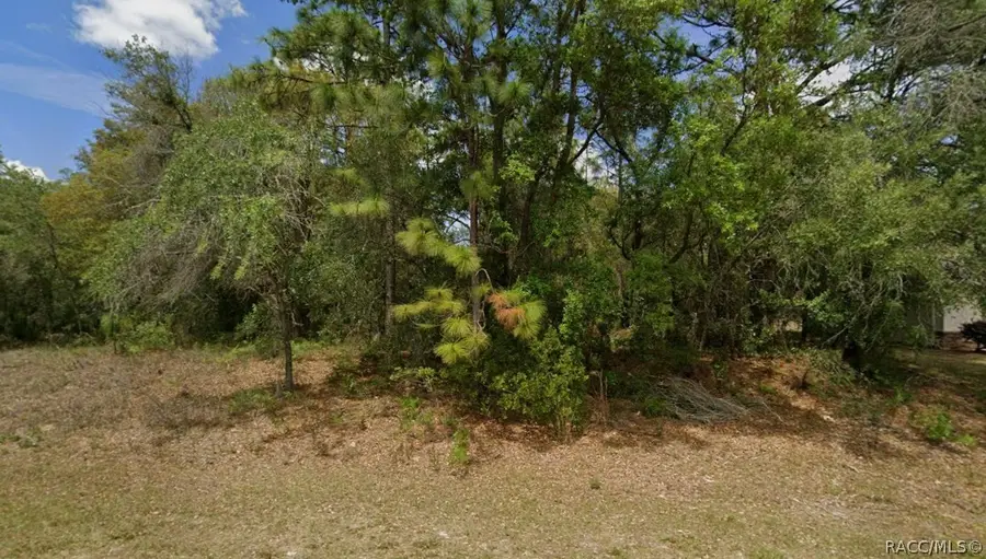 1895 W Hampshire Boulevard, Dunnellon, FL 34434 - #2
