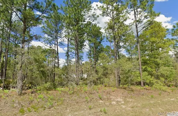 2175 W Galaxy Lane, Dunnellon, FL 34434