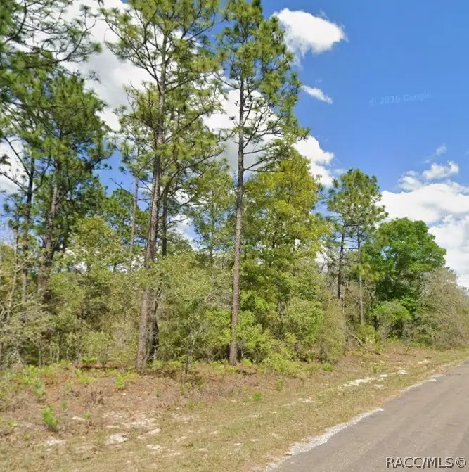 2175 W Galaxy Lane, Dunnellon, FL 34434 - #3