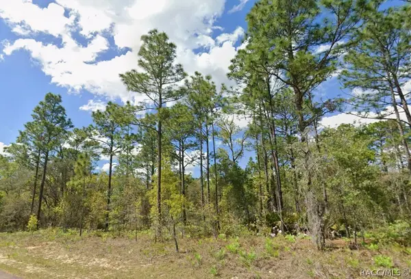 2193 W Galaxy Lane, Dunnellon, FL 34434