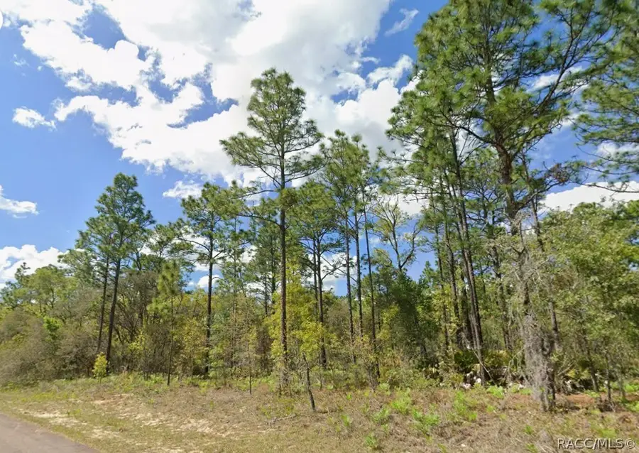 2193 W Galaxy Lane, Dunnellon, FL 34434 - #2