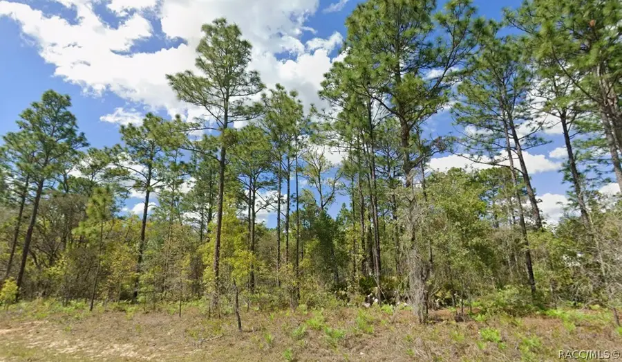 2193 W Galaxy Lane, Dunnellon, FL 34434 - #3