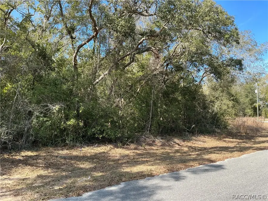 1534 W Magenta Drive, Citrus Springs, FL 34434 - #3