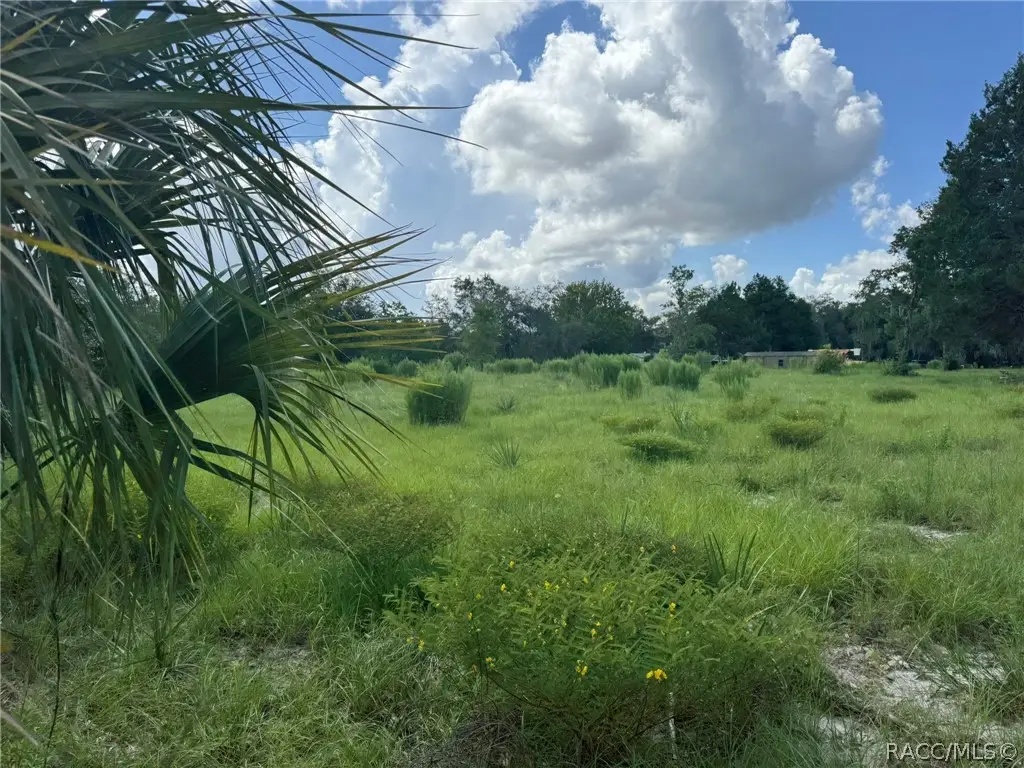 9404 W 7 Rivers Farm Street, Crystal River, FL 34428 - #1