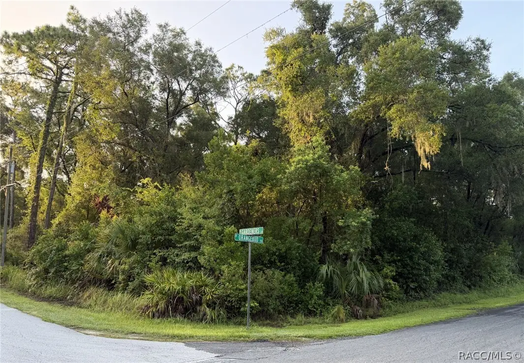 9826 W Gardeners Lane, Crystal River, FL 34428 - #1