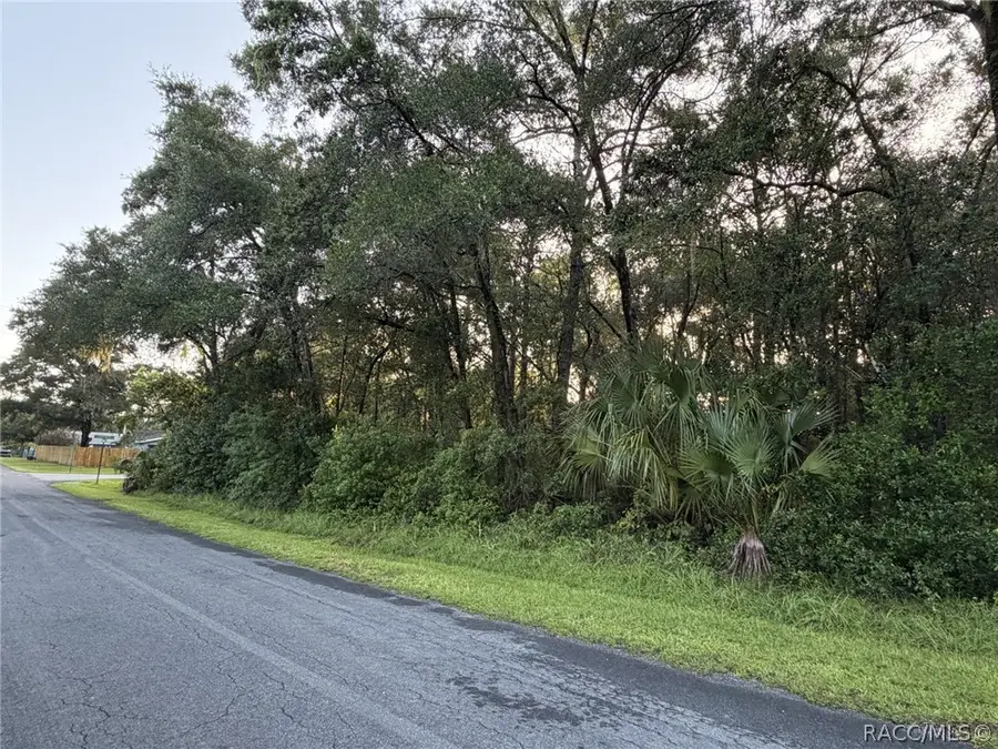 9826 W Gardeners Lane, Crystal River, FL 34428 - #3