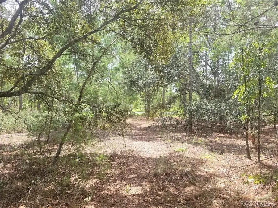 41 Boxleaf Court, Homosassa, FL 34446 - #3