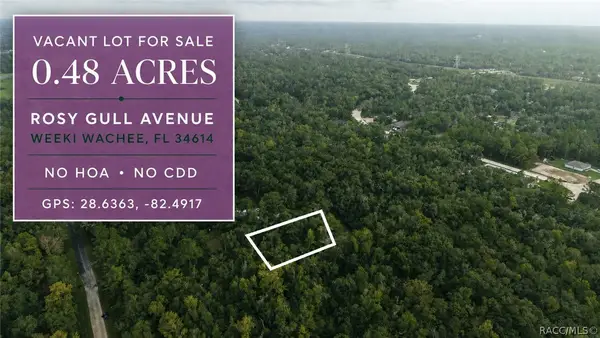 14186 Rosy Gull Avenue, Weeki Wachee, FL 34614