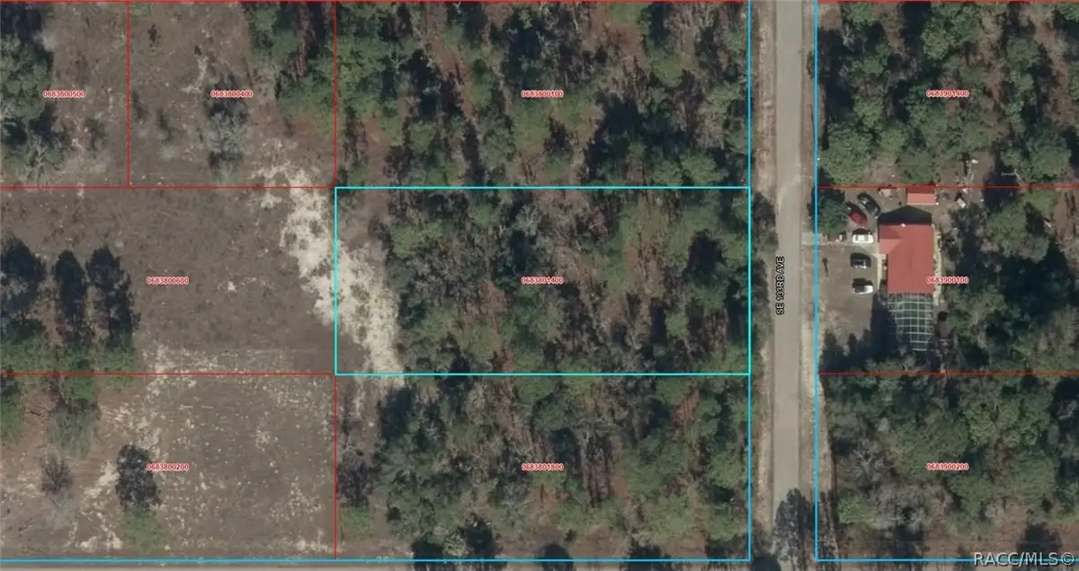 00 SE 133 Avenue, Dunnellon, FL 34431 - #1