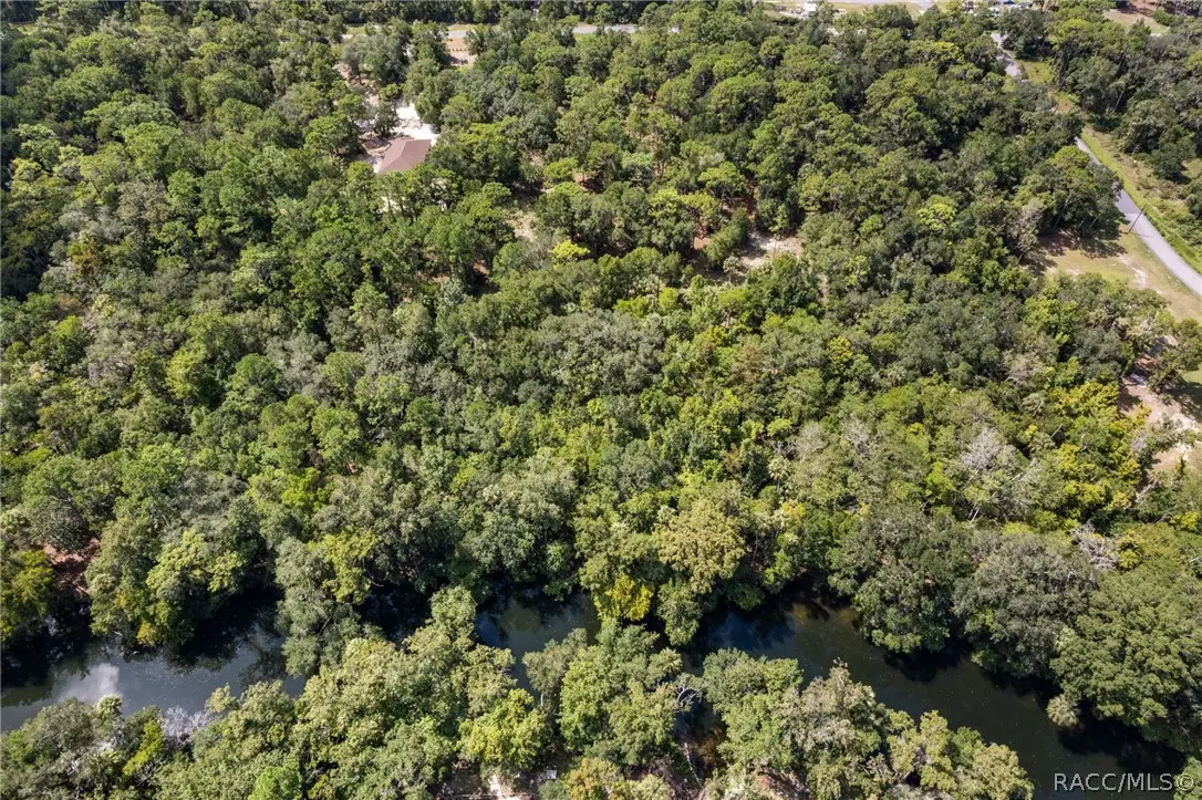 13707 W Foss Groves Path, Inglis, FL 34449 - #1