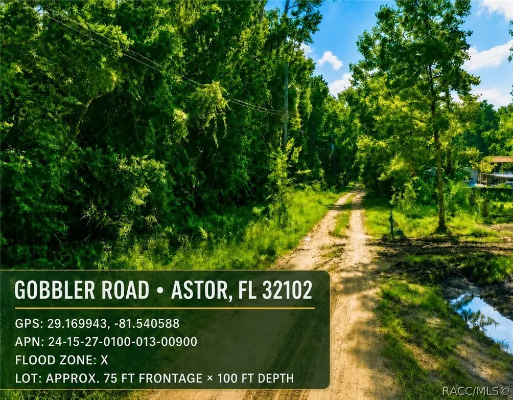 0 Gobbler Road, Astor, FL 32102 - #1