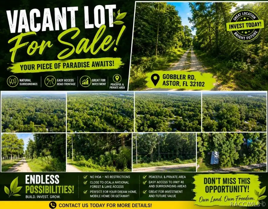 0 Gobbler Road, Astor, FL 32102 - #2