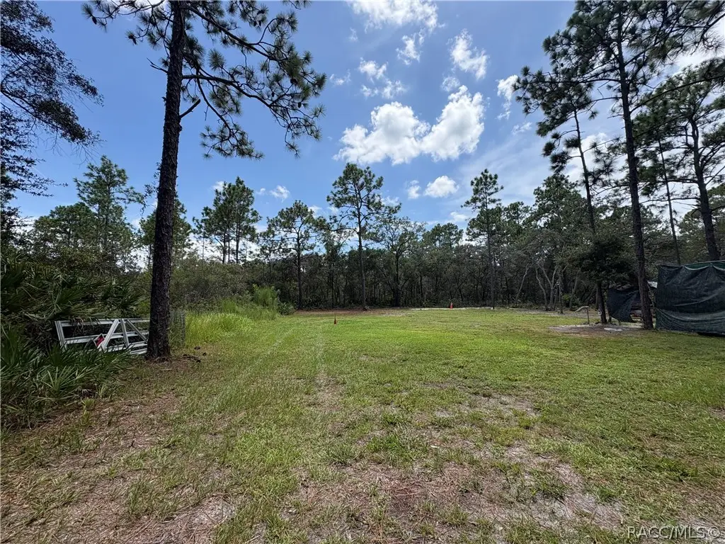 394 N Florene Point, Crystal River, FL 34429 - #1