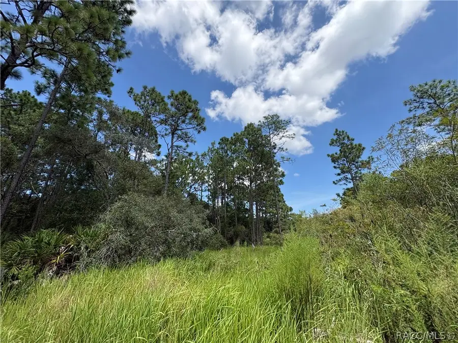 394 N Florene Point, Crystal River, FL 34429 - #3