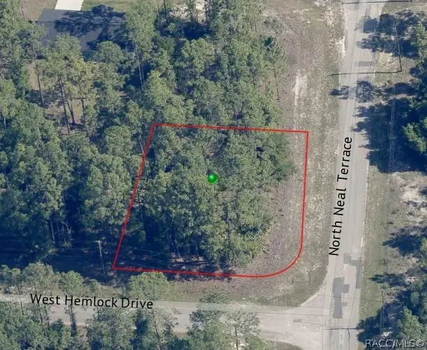 805 W Hemlock Drive, Citrus Springs, FL 34434 - #1