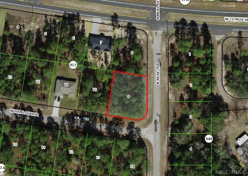 805 W Hemlock Drive, Citrus Springs, FL 34434 - #2