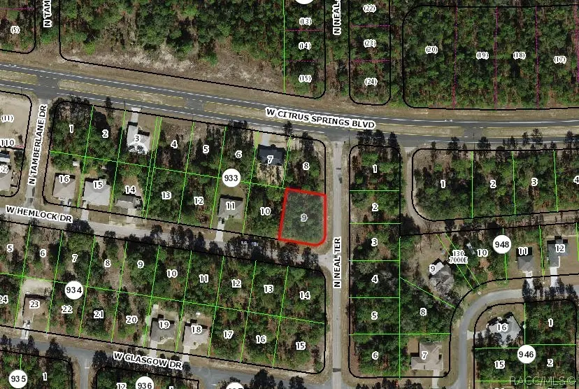 805 W Hemlock Drive, Citrus Springs, FL 34434 - #3