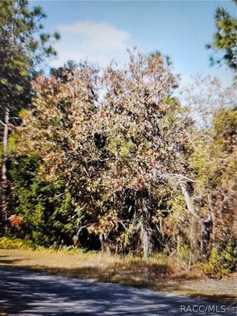 18 Longleaf Court, Homosassa, FL 34446 - #1