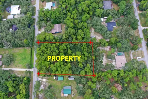 2659 S Bolton Avenue, Homosassa, FL 34448