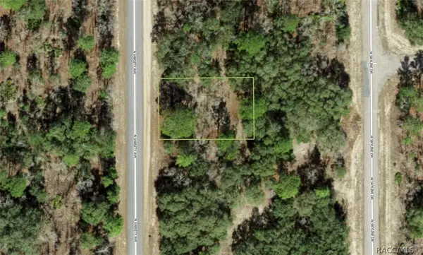 6719 N Varsity Avenue, Citrus Springs, FL 34434